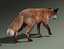 Red Fox (FUR) (ANIMATED)