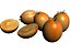 Persimmon