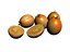 Persimmon