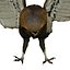 Lechuza en vuelo (taxidermia)