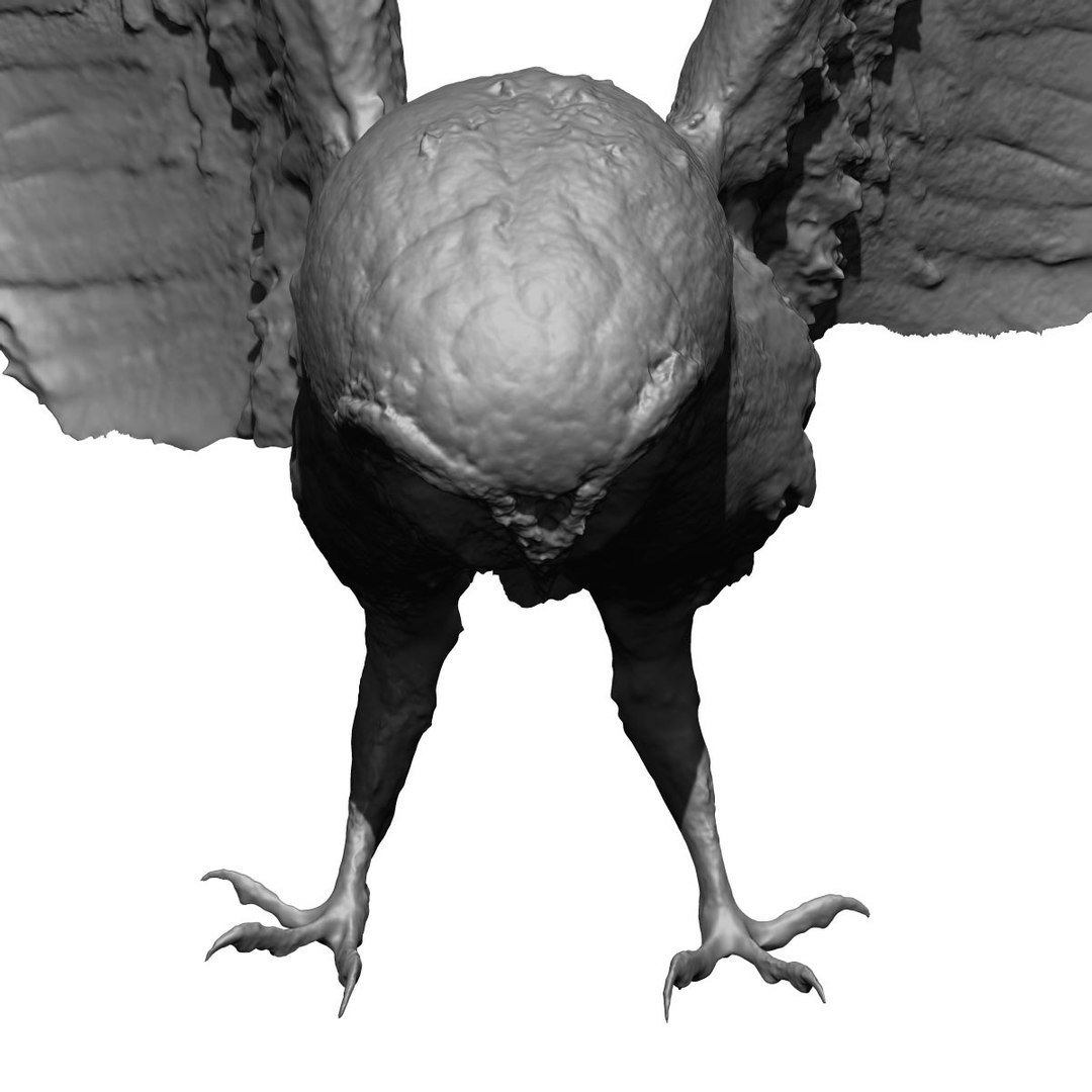 photogrammetry taxidermy barn owl model https://p.turbosquid.com/ts-thumb/XA/wjMK41/TOM4gPYB/14/jpg/1502192689/1920x1080/fit_q87/d3b42d031d26967f87f8a378b6bdaea7c3193d4d/14.jpg