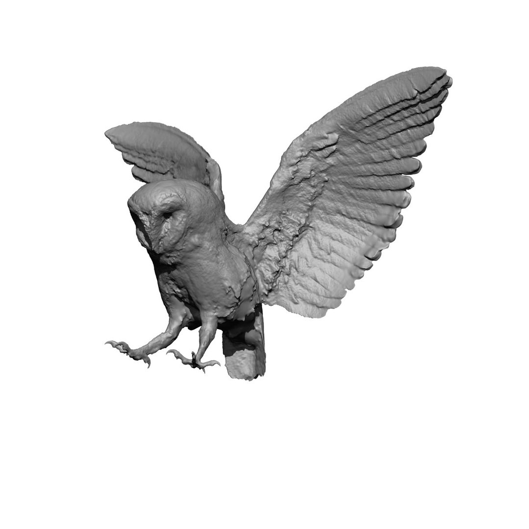 photogrammetry taxidermy barn owl model https://p.turbosquid.com/ts-thumb/XA/wjMK41/ZkHnJ4uf/3/jpg/1502192088/1920x1080/fit_q87/4a8556fe460dece92174ae11c0516439a7e459f4/3.jpg
