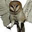 Lechuza en vuelo (taxidermia)