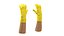 Hands in Yellow Rubber Gloves Rigged for Cinema 4D