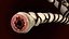 bronquial tube