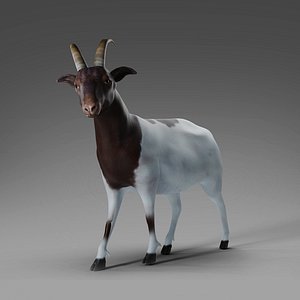 3D 3D Goat 03 Rigged in Blender