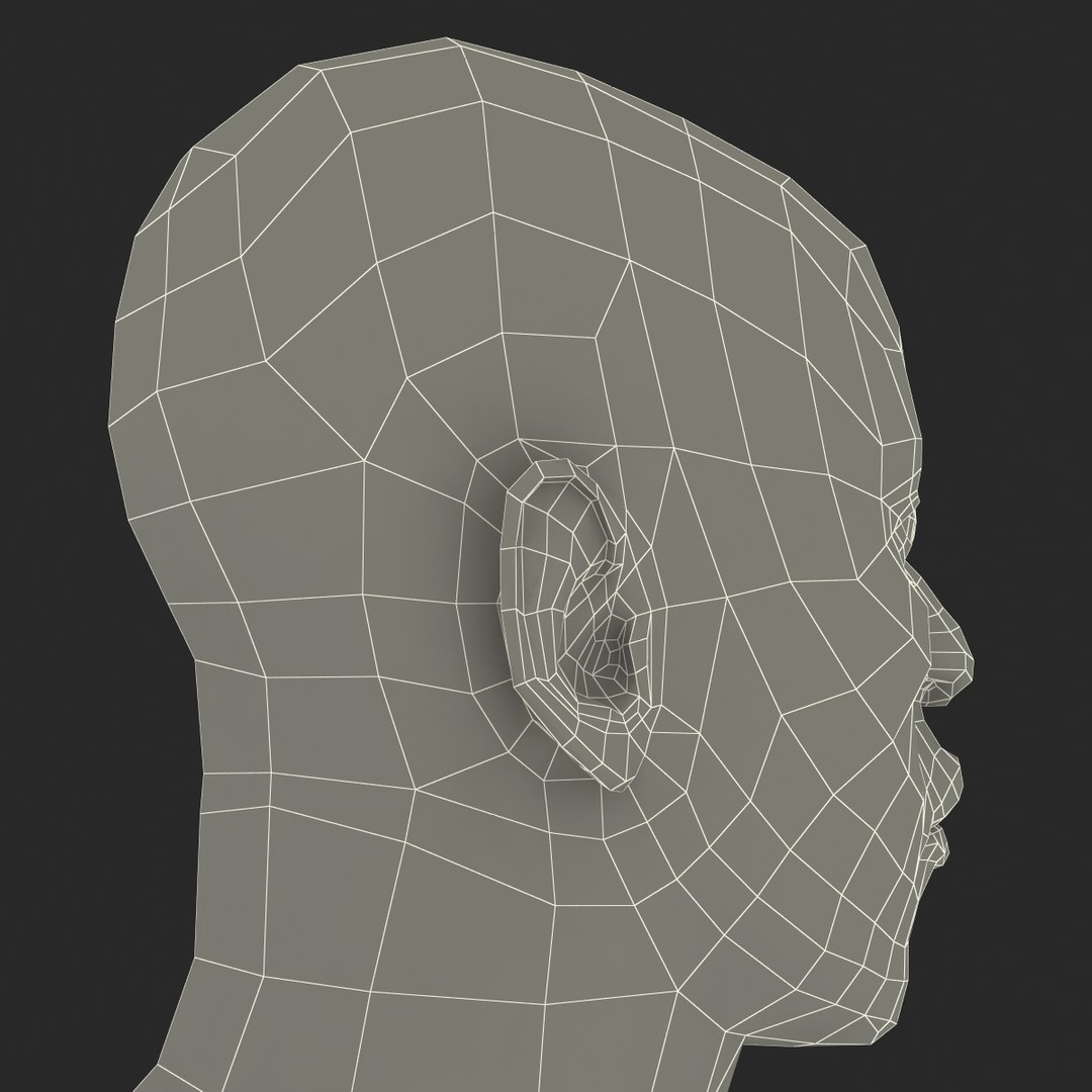 3d model african american male head https://p.turbosquid.com/ts-thumb/XB/IOVjhr/11NiJeg7/africanamericanmalehead3dmodel25/jpg/1427282988/1920x1080/fit_q87/36299e483af119d93b9a4676962668387b85d591/africanamericanmalehead3dmodel25.jpg