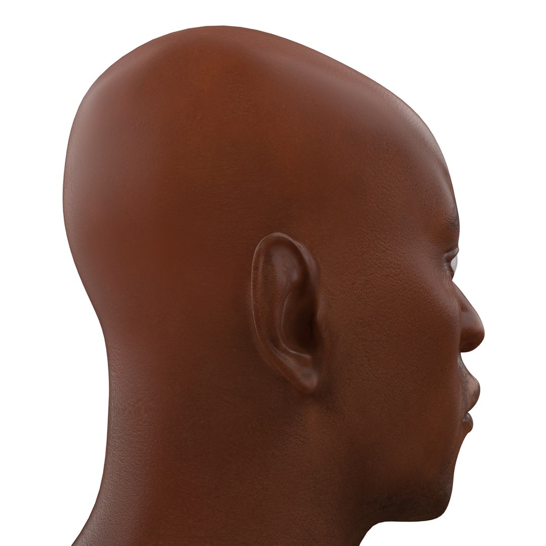 3d model african american male head https://p.turbosquid.com/ts-thumb/XB/IOVjhr/NgzxJUno/africanamericanmalehead3dmodel12/jpg/1427282987/1920x1080/fit_q87/51df9a14a49306d3eda00c6dc31b4c1317ece346/africanamericanmalehead3dmodel12.jpg