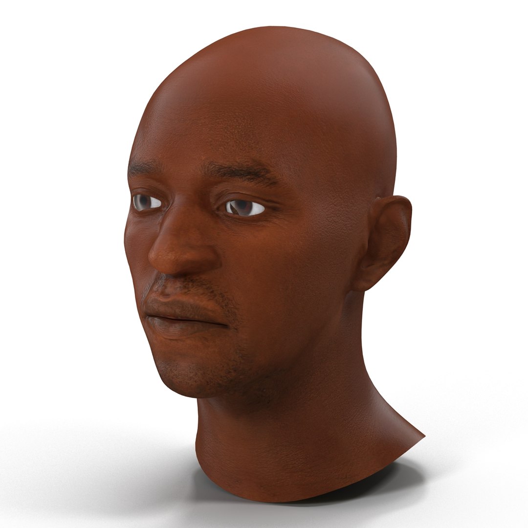3d model african american male head https://p.turbosquid.com/ts-thumb/XB/IOVjhr/ZmuPFzK1/africanamericanmalehead3dmodel08/jpg/1427282986/1920x1080/fit_q87/13443bdf770e9c4fbd3282ea14aad2e6fa167816/africanamericanmalehead3dmodel08.jpg