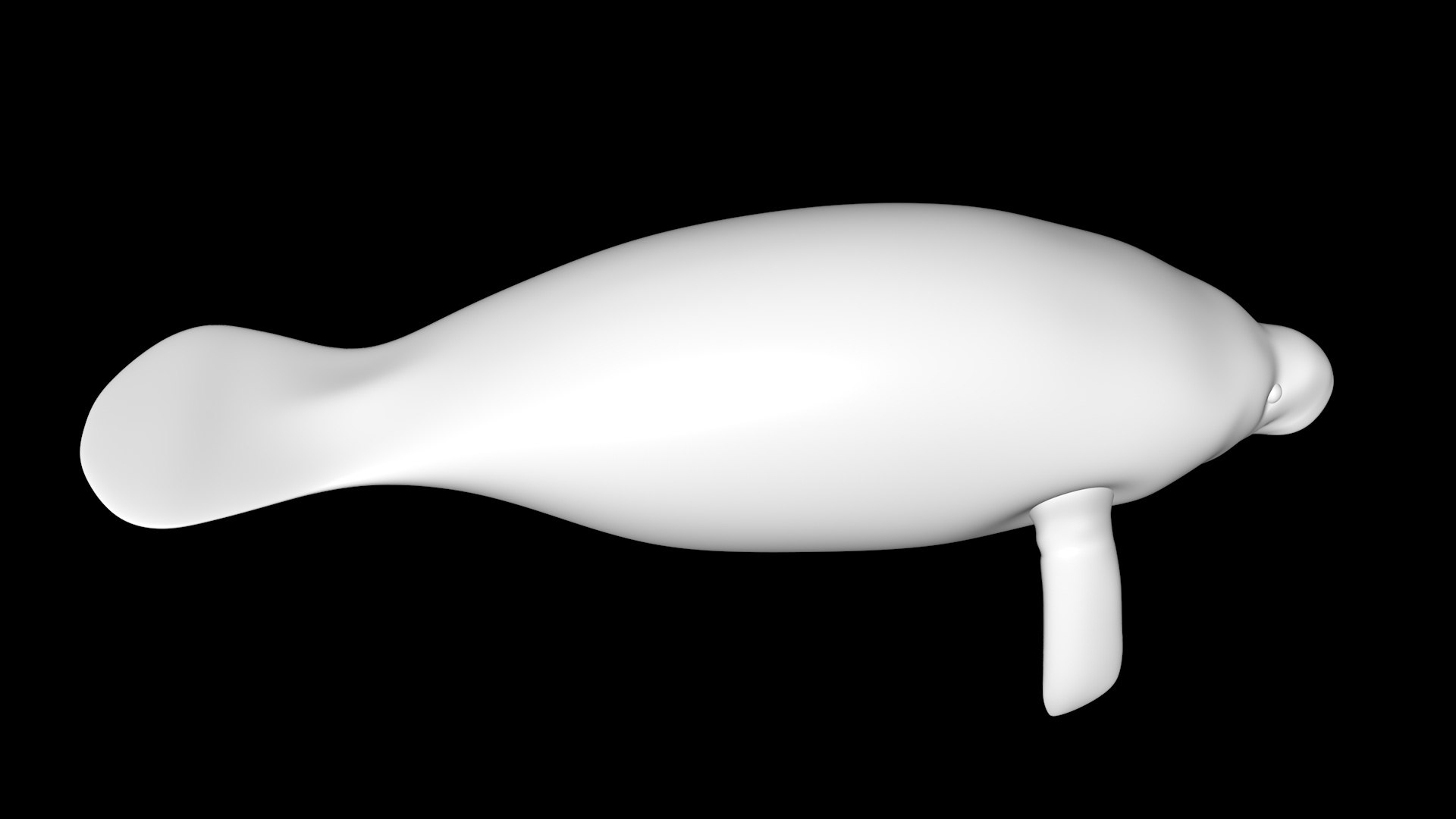 3D manatee - TurboSquid 1689558