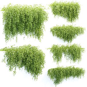 Hanging Wall Creeper Plants collection vol 225 3D model