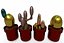 Fioriere di cactus