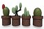 Fioriere di cactus