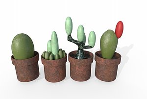 cactus planters model