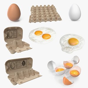 3D chicken eggs 3