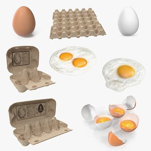 Chicken Eggs 3D Models Collection 3