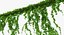 ivy branches 3D model