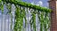 ivy branches 3D model
