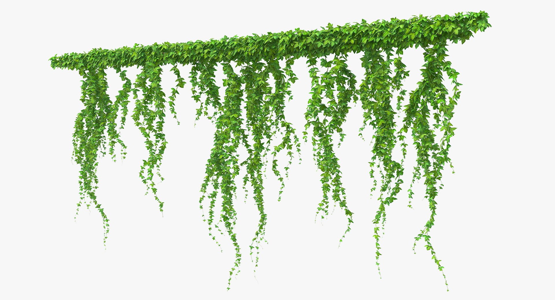 ivy branches 3D model https://p.turbosquid.com/ts-thumb/XB/h8QfW8/tQBExLFo/ivybranches3dmodel001/jpg/1560384683/1920x1080/fit_q87/1cd761134d01917623ec0f9306f1d81af710640c/ivybranches3dmodel001.jpg