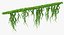 ivy branches 3D model