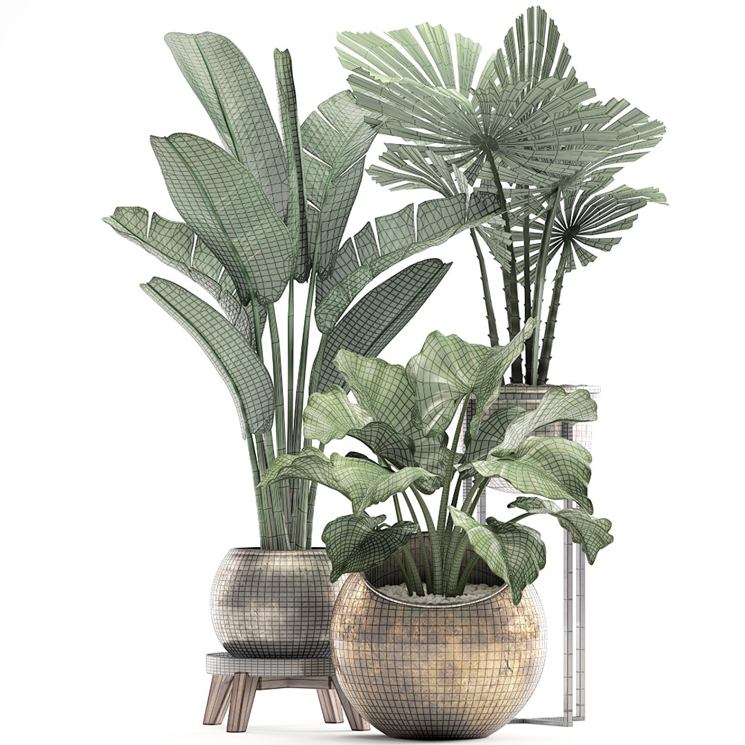 houseplants plants potted 3D model https://p.turbosquid.com/ts-thumb/XB/oJGZ2C/YgZ8FPD1/plantset22103202008/jpg/1585308812/1920x1080/fit_q87/81a80861cd4a00e577c4c4469bcf29e51797d2b4/plantset22103202008.jpg
