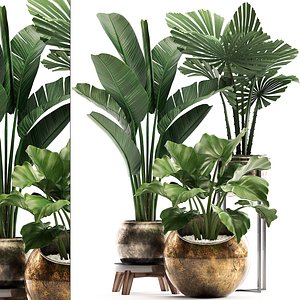 houseplants plants potted 3D model