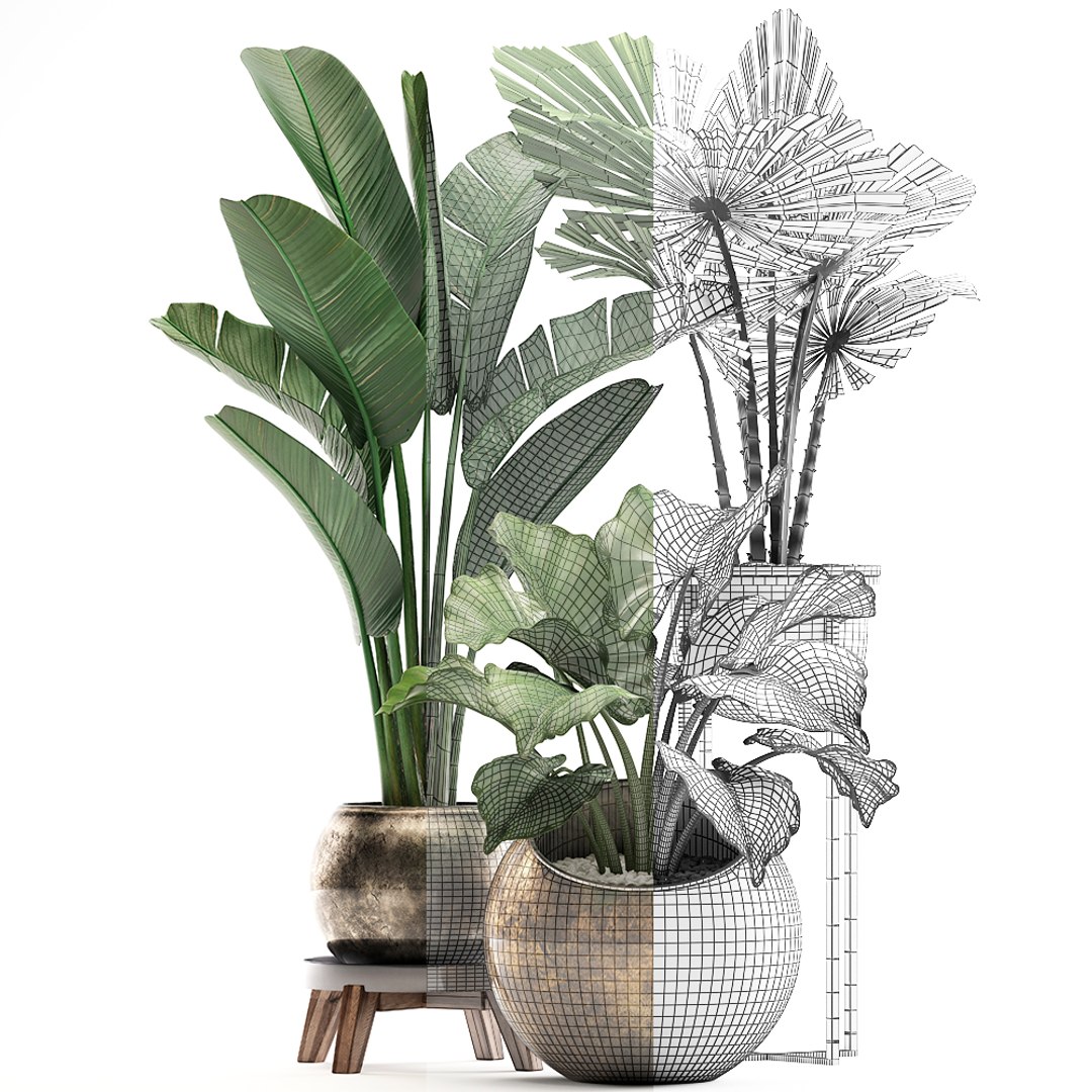 houseplants plants potted 3D model https://p.turbosquid.com/ts-thumb/XB/oJGZ2C/jGcCtP9l/plantset22103202007/jpg/1585308812/1920x1080/fit_q87/789d290789fa79efb40a0f55420f69c5fdab8ed6/plantset22103202007.jpg