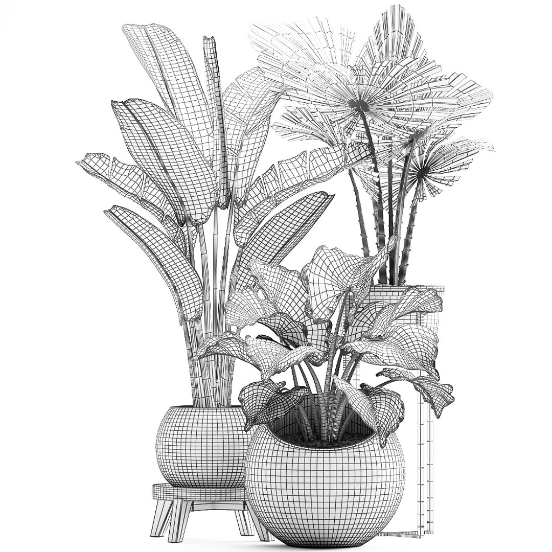 houseplants plants potted 3D model https://p.turbosquid.com/ts-thumb/XB/oJGZ2C/ountrO50/plantset22103202009/jpg/1585308812/1920x1080/fit_q87/21ebed9a2794d7d1097af08bc0219009e412d626/plantset22103202009.jpg