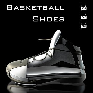 Cross-Section Shoe