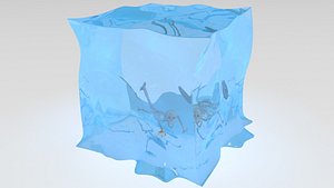 3D gelatinous cube
