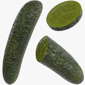 3D Pickle Cucumber model
