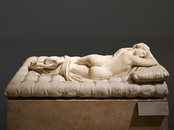 гермафродит 