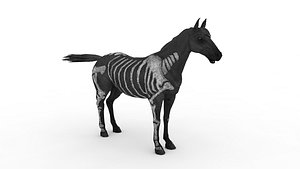 3D Black horse