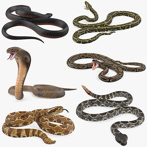 3D rigged snakes 4