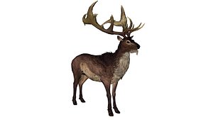 Fantasy Armored Stag 3D model