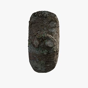 3D model Anydrafts Tsuga chinensis Burl 01