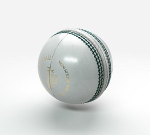 3D Cricket Ball White