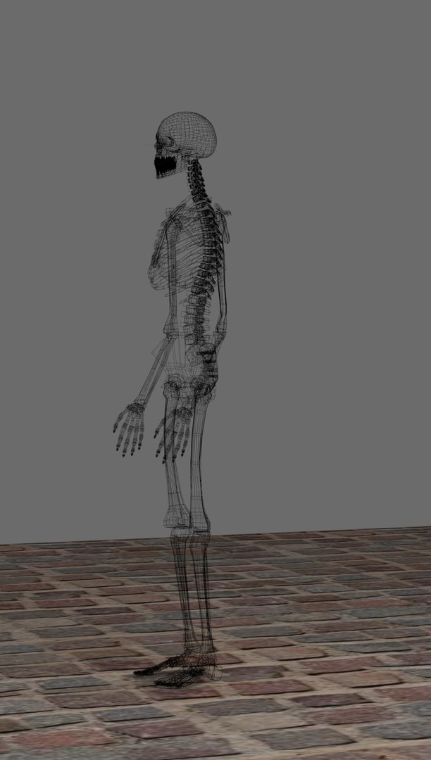 3D skeleton https://p.turbosquid.com/ts-thumb/XC/asTyJW/2OAnTUQo/skeleton7/jpg/1575949485/1920x1080/fit_q87/dd2dc820262c1ef2163013b78e284338dea11873/skeleton7.jpg