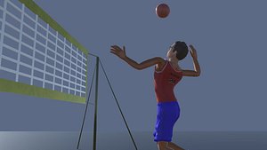 3D Volley Ball Avatars