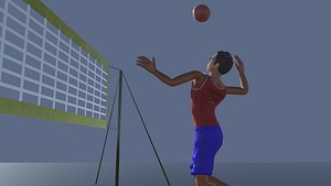 Volley Ball Actions