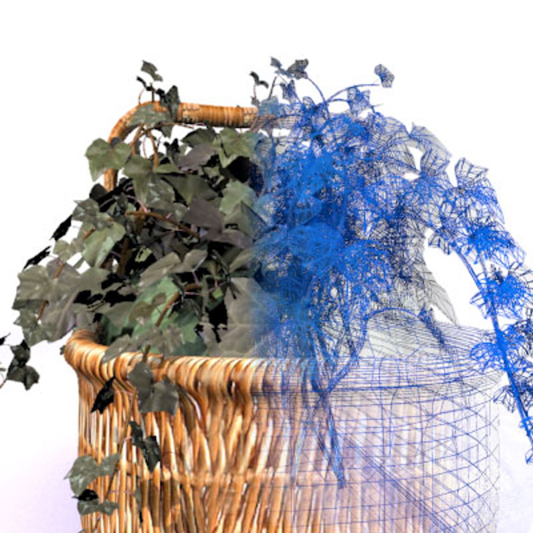 english ivy basket 3d 3ds https://p.turbosquid.com/ts-thumb/XC/geCIKT/BhRqteMx/ivy_side3/jpg/1151978418/1920x1080/fit_q87/52f176f9a7ceacf317337bbbda66087037f7fed3/ivy_side3.jpg