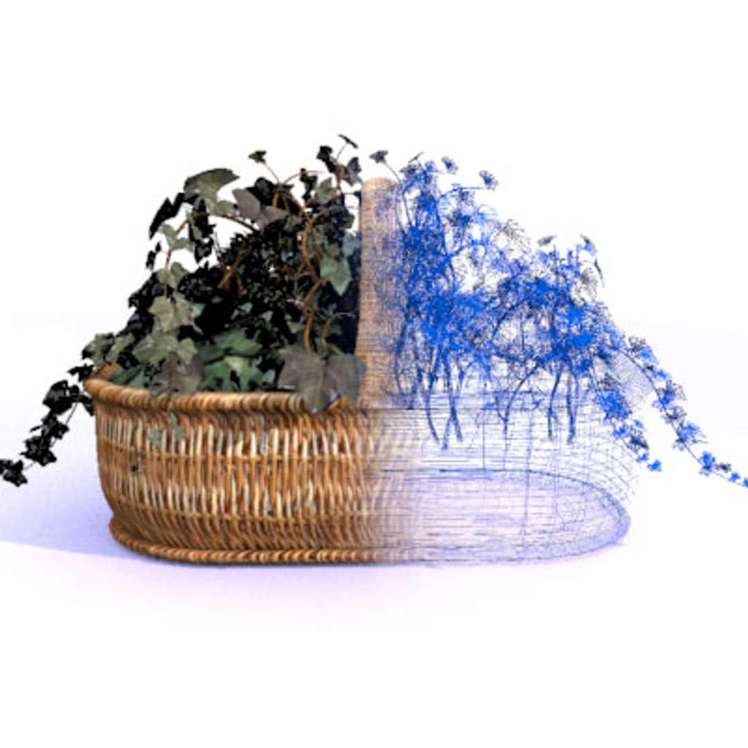 english ivy basket 3d 3ds https://p.turbosquid.com/ts-thumb/XC/geCIKT/JgbuGe3V/ivy_side1/jpg/1151978396/1920x1080/fit_q87/932f658ae764dd664f7fbe7f24603515cff748c3/ivy_side1.jpg