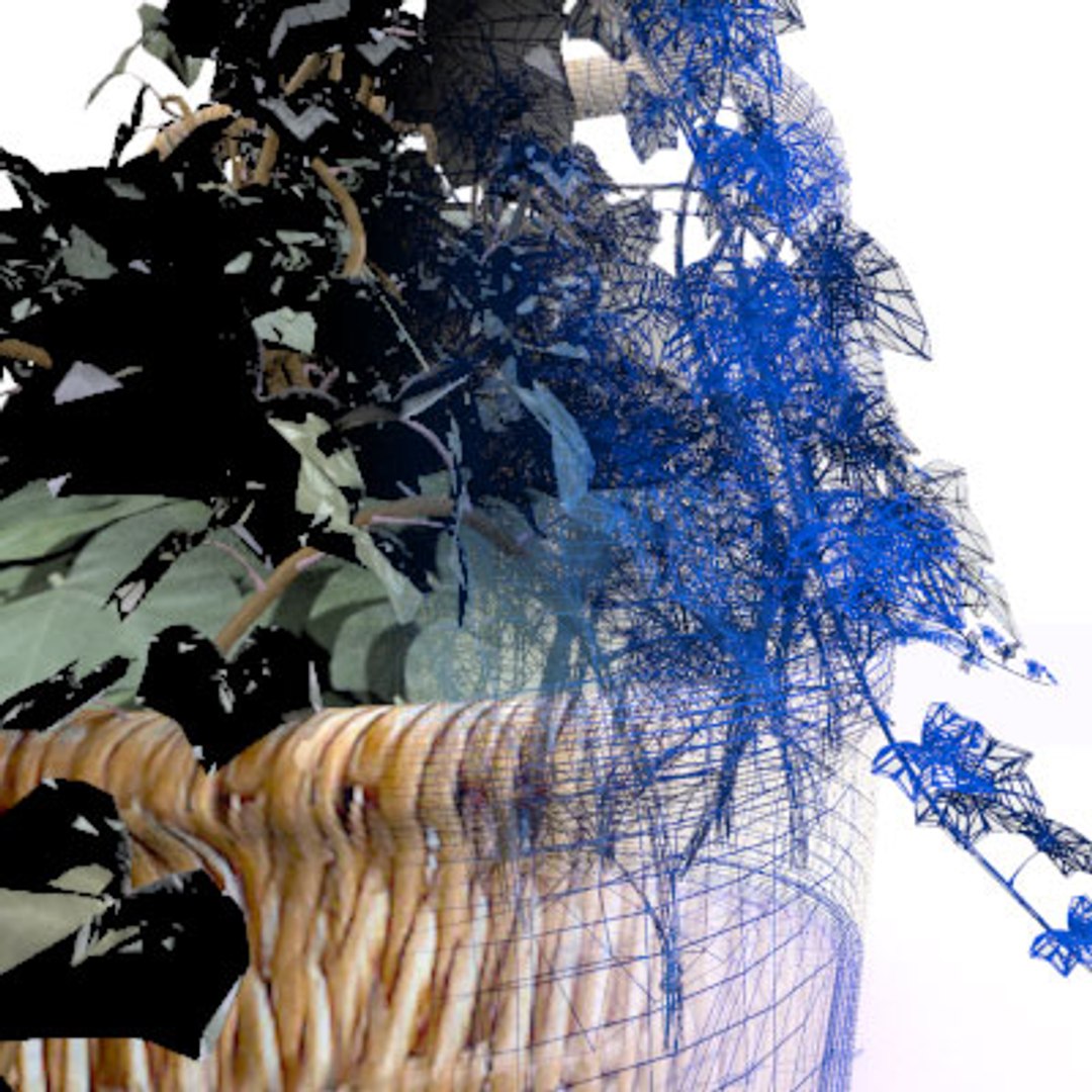 english ivy basket 3d 3ds https://p.turbosquid.com/ts-thumb/XC/geCIKT/nct1ofOA/ivy_side2/jpg/1151978402/1920x1080/fit_q87/eb5f2ed2d45278857f88e7ded3b25585a7be51a3/ivy_side2.jpg