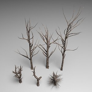 Dead trees