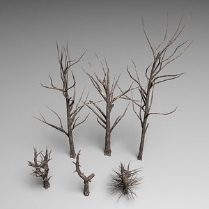 Dead trees