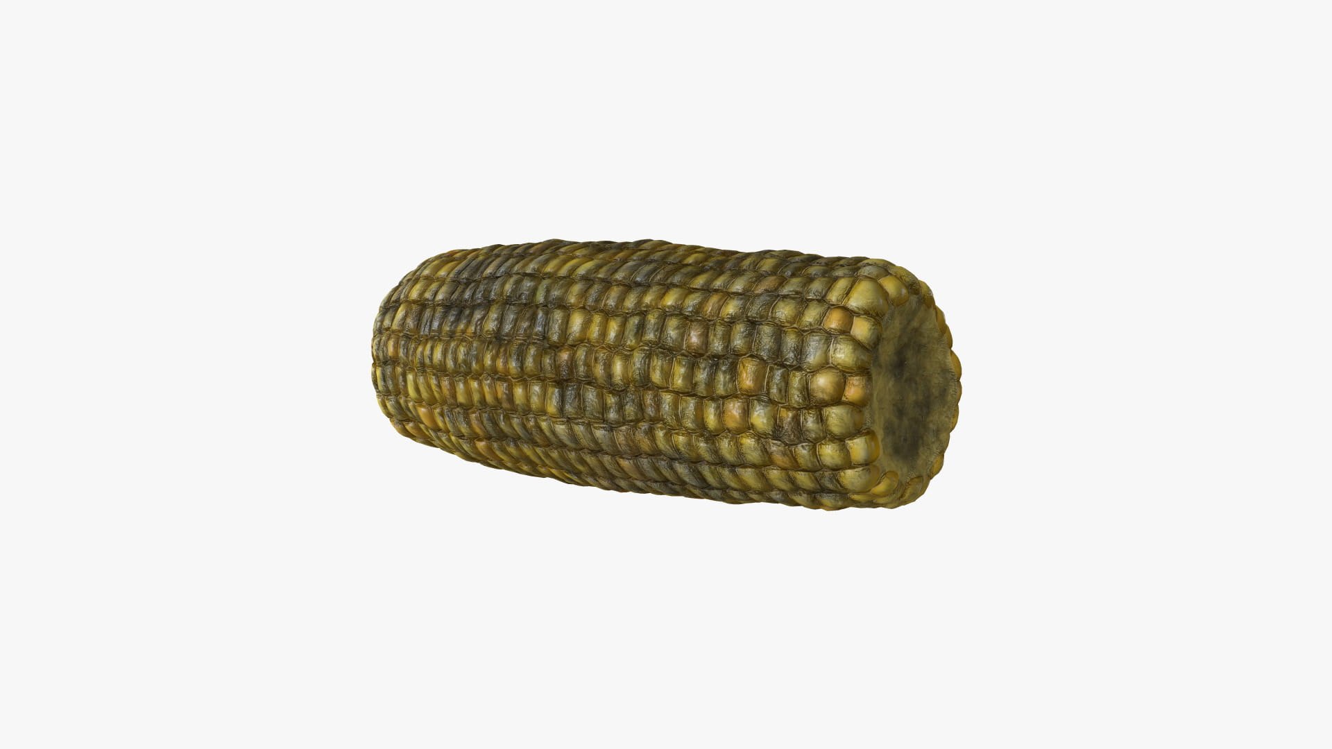 VEG-003 Roasted Corn 3D Model - TurboSquid 2165304