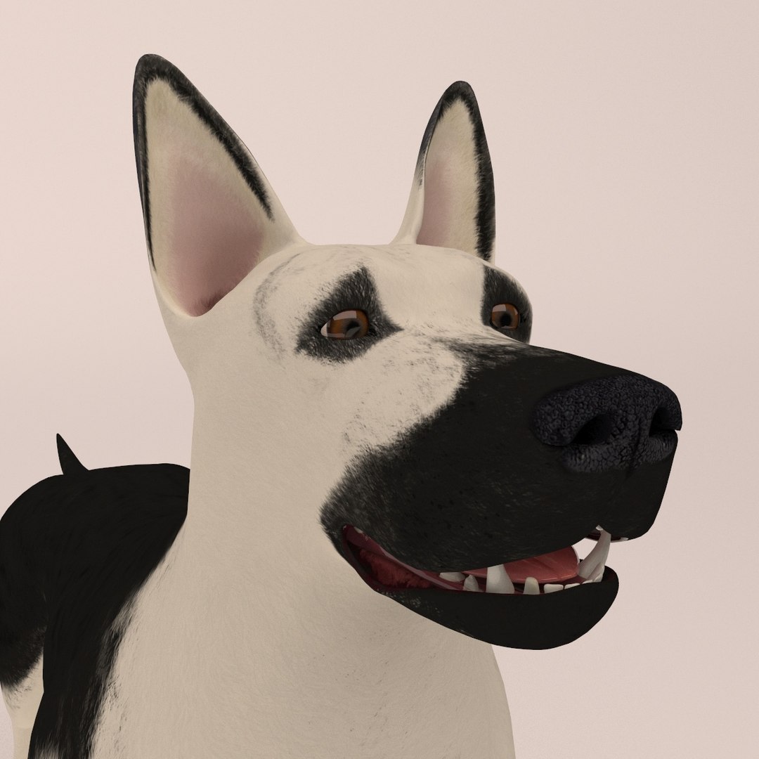 east european shepherd 3D model https://p.turbosquid.com/ts-thumb/XD/8kAimY/5uKc7Uqu/10/jpg/1491209447/1920x1080/fit_q87/dc3461c456a77cf517c6c2d8c296215944d3c752/10.jpg