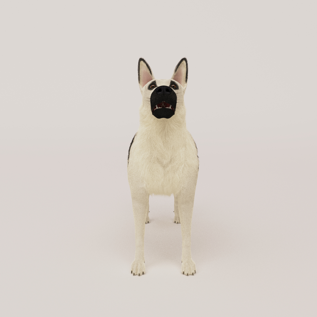 east european shepherd 3D model https://p.turbosquid.com/ts-thumb/XD/8kAimY/Db9p16AD/dog/png/1491242394/1920x1080/turn_fit_q99/22e0f31b8a2e0f5b5560411823e99849656506b8/dog-1.jpg