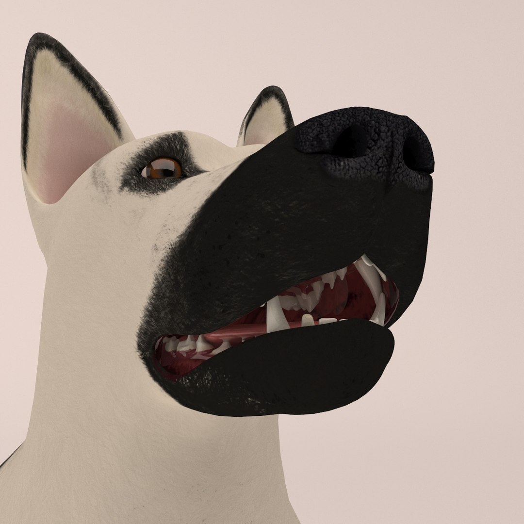 east european shepherd 3D model https://p.turbosquid.com/ts-thumb/XD/8kAimY/O4iAaenx/11/jpg/1491209447/1920x1080/fit_q87/00b165553324daf1ee7ac9607c45785da1d56f17/11.jpg
