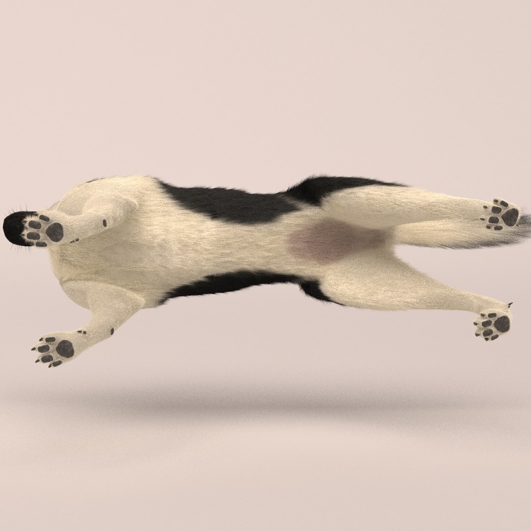 east european shepherd 3D model https://p.turbosquid.com/ts-thumb/XD/8kAimY/h0ZbvCNu/7/jpg/1491209447/1920x1080/fit_q87/37fe1ceaf4a0c21724b5fc79ca98b61e84886bbe/7.jpg